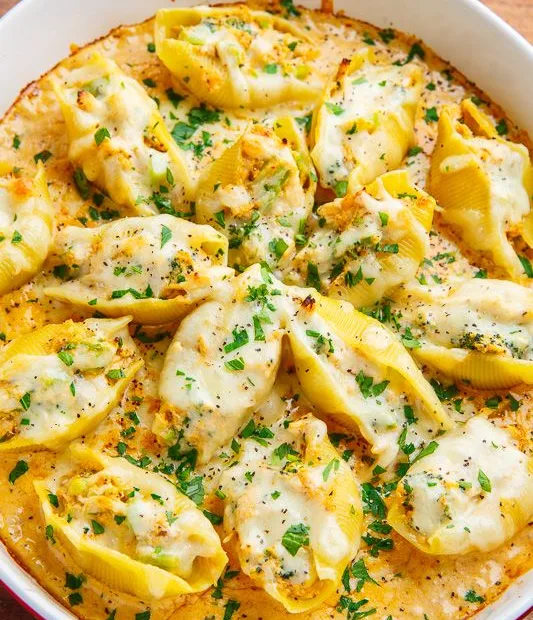 chicken alfredo stuffed shells recipe