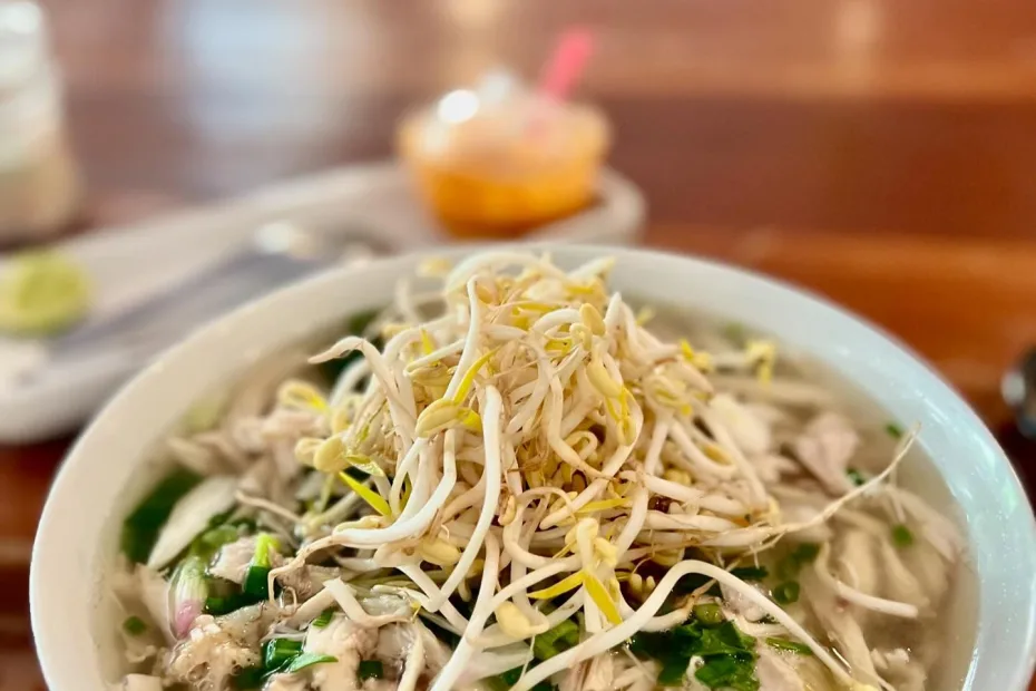 Chicken Soup Recipes