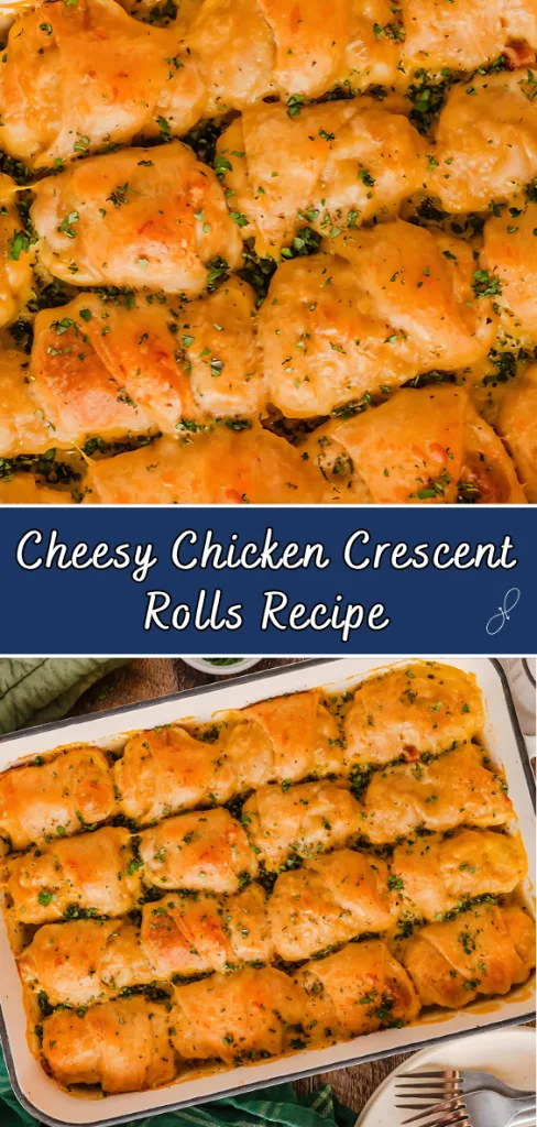 cheesy chicken crescent rolls recipe