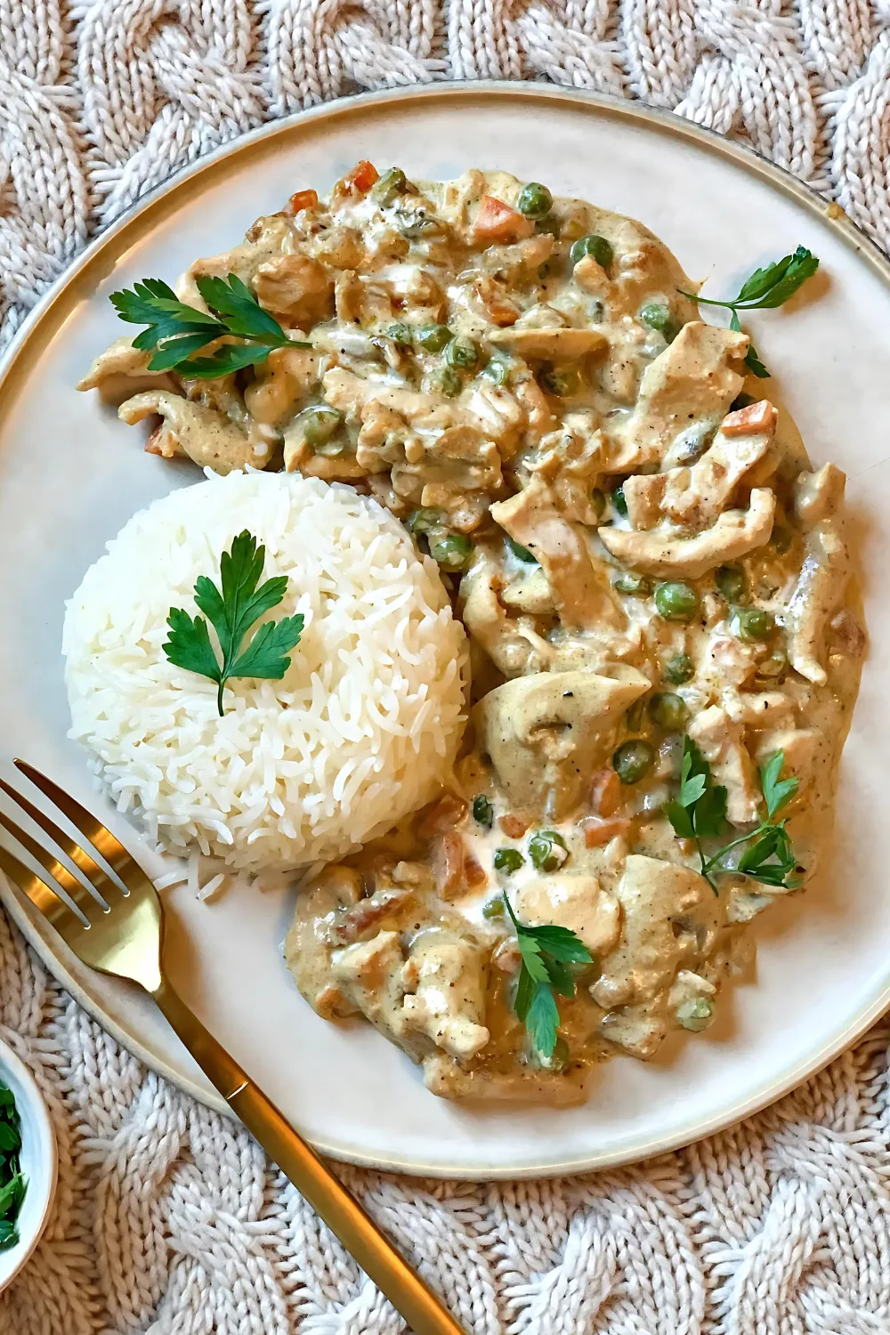 chicken stroganoff recipe