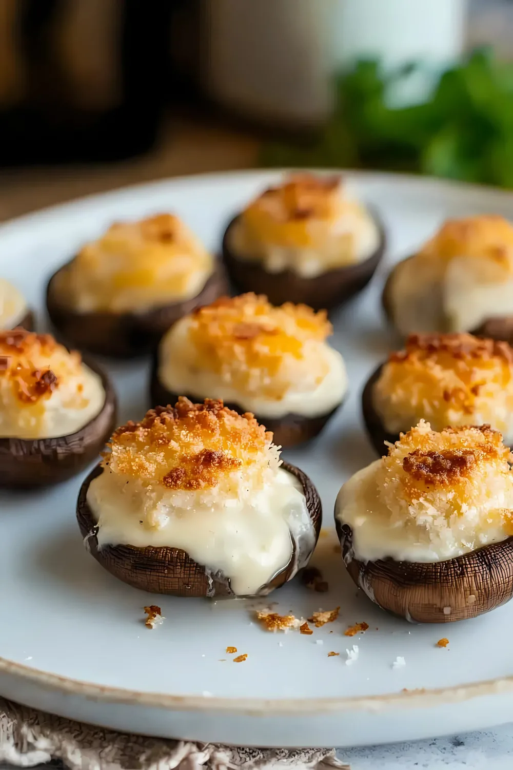 white cheddar stuffed mushrooms recipe