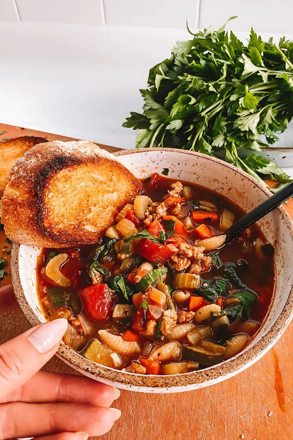 Ground Turkey Soup Recipes