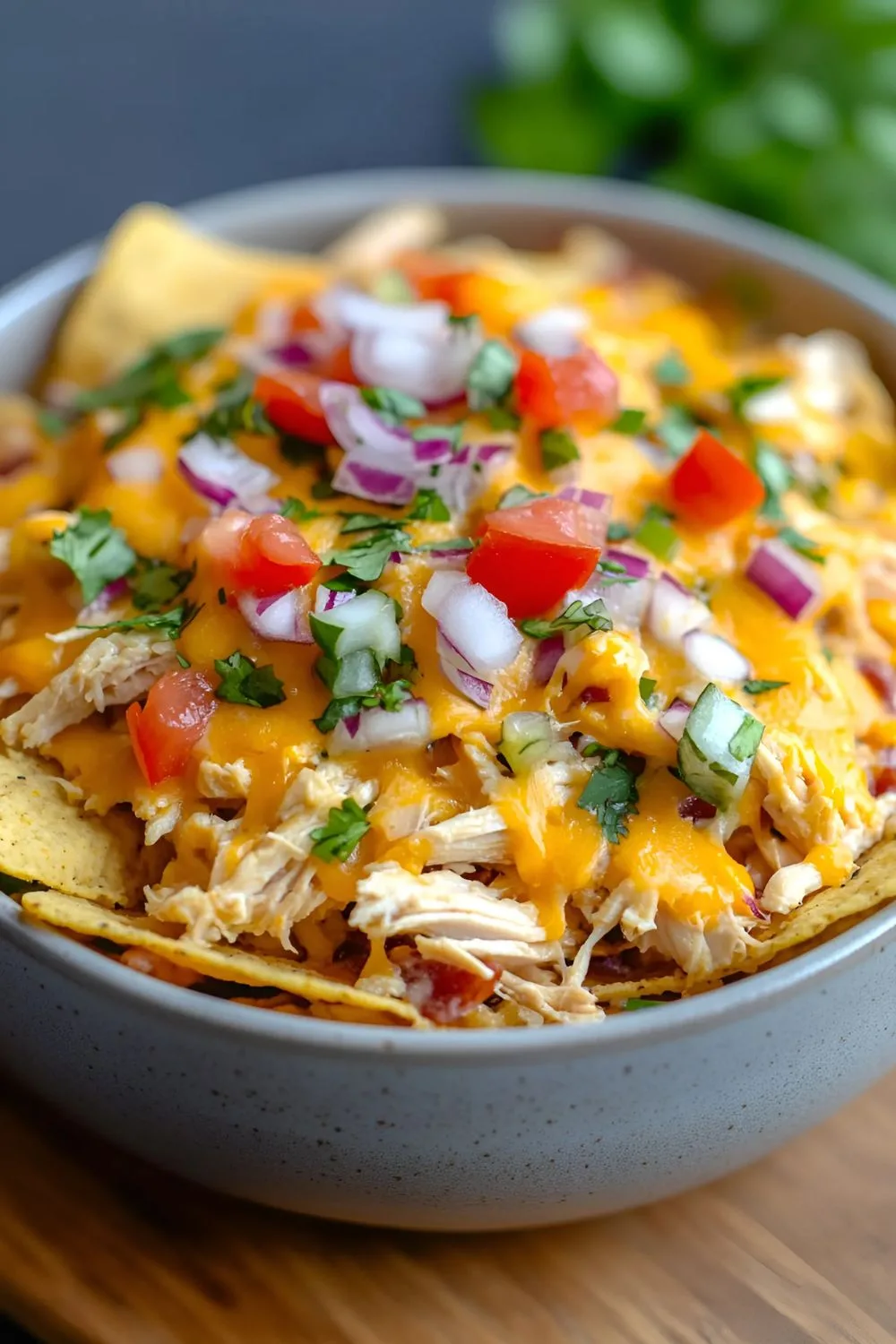 Rotisserie Chicken Nachos Recipe