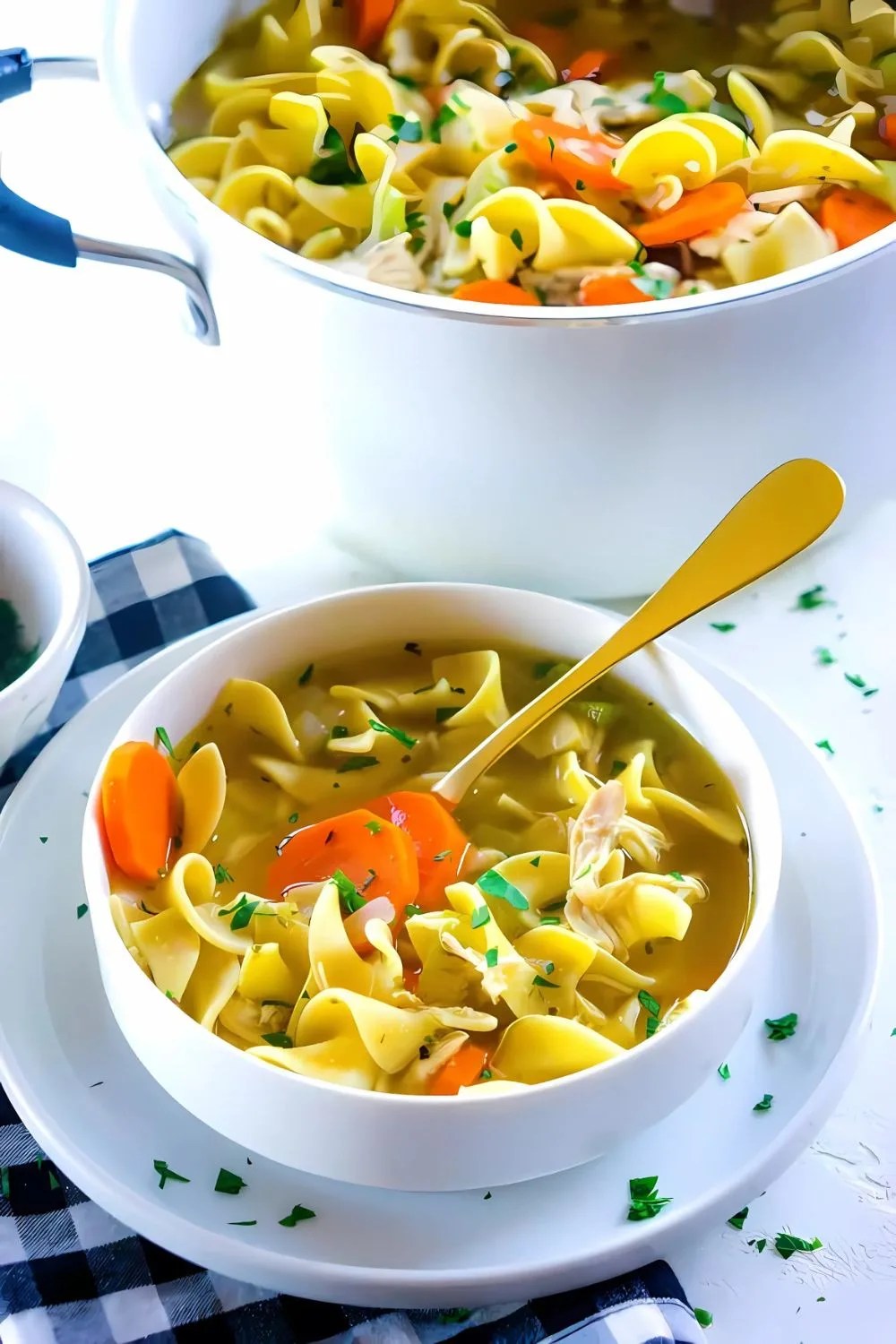 Rotisserie Chicken Noodle Soup Recipe