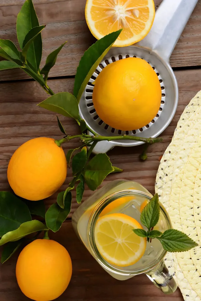 Fresh Squeezed Lemonade