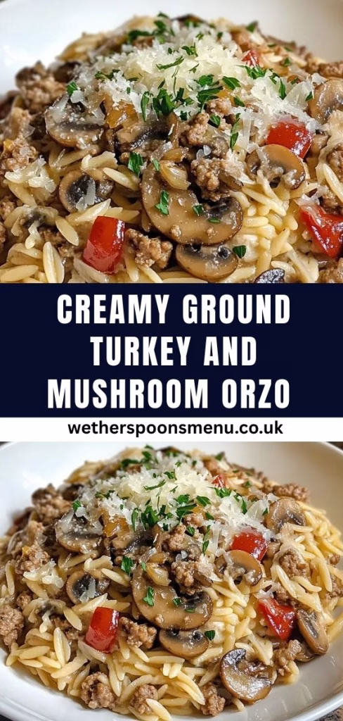 Creamy Ground Turkey and Mushroom Orzo Recipe