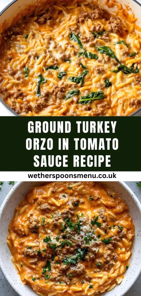 Ground Turkey Orzo in Tomato Sauce Recipe
