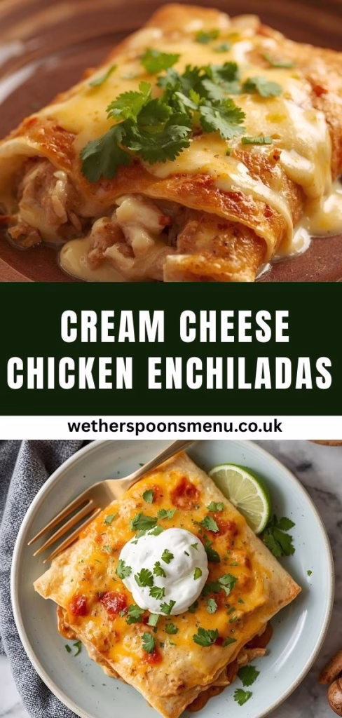 Cream Cheese Chicken Enchiladas Recipe