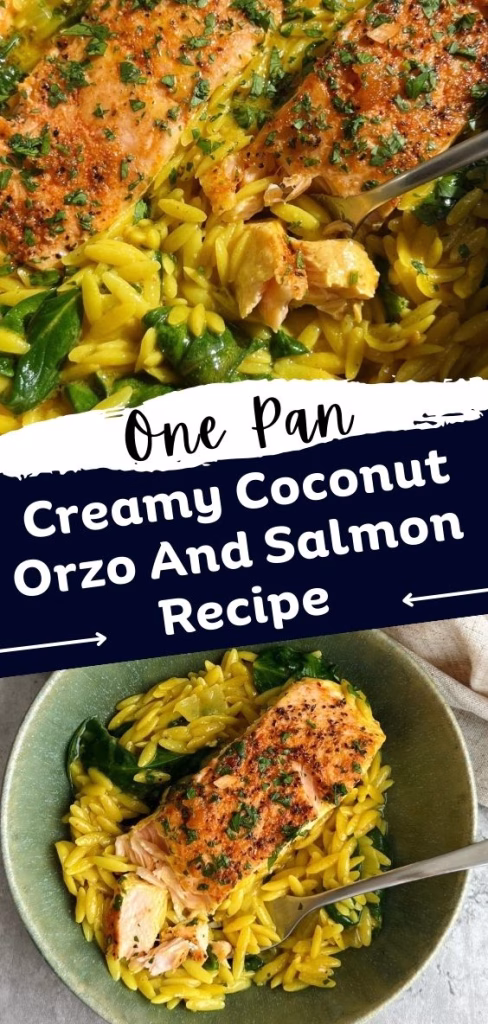 One Pan Creamy Coconut Orzo and Salmon Recipe
